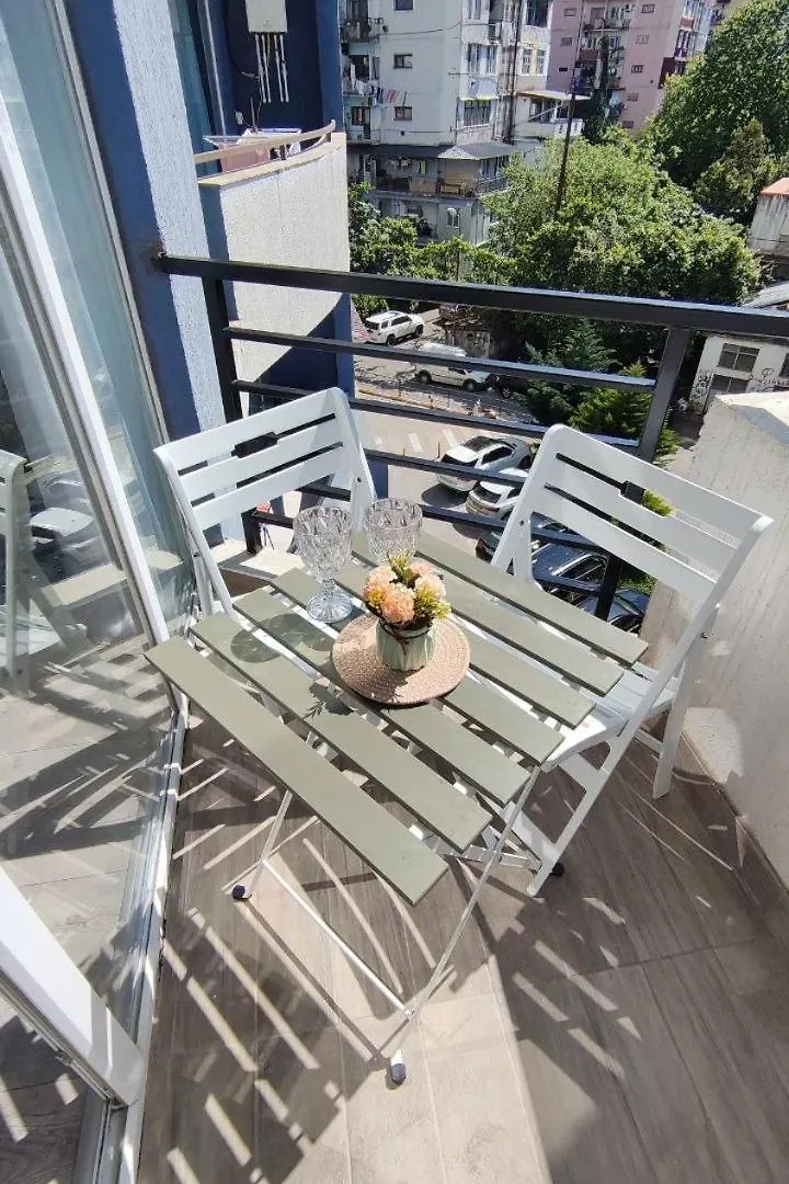 Pirosmani 18D, 4 Floor Apartment Batumi